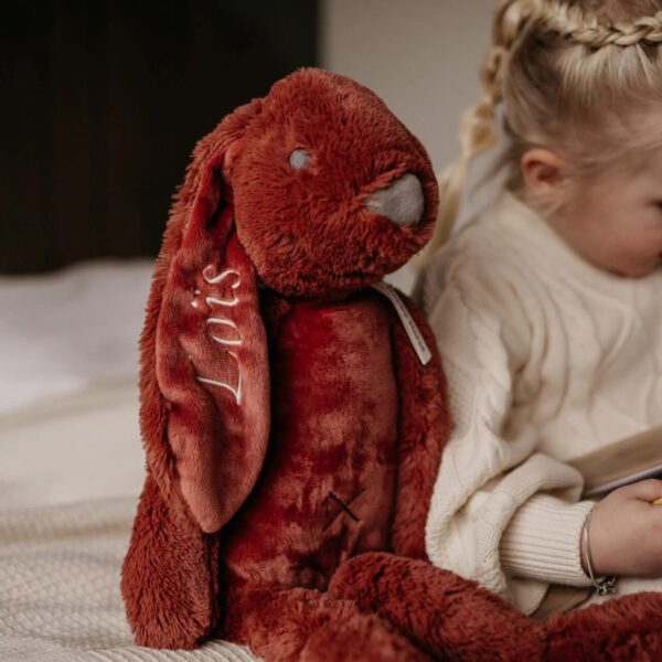 Rood knuffelkonijn met geborduurde naam Lois, kind speelt met boek