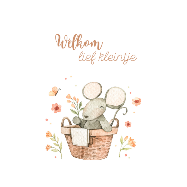 Wenskaart met de tekst 'Welkom lief kleintje' en een schattige illustratie van een muis in een mand